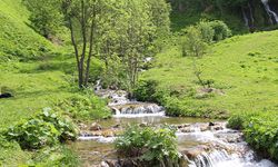 Trabzon Hamsiköy Şelaleleri yabancı turistin ilgisini çekiyor