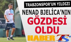 Trabzonspor'un Yıldızı Bjelica'nın Gözdesi