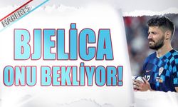 Bjelica Petkovic'i Bekliyor