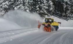 Kar nedeniyle Doğu Karadeniz'de ulaşıma kapatılan yollar!