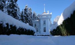 Trabzon'da kar hayatı olumsuz etkiliyor
