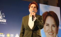 İYİ Parti'de Koray Aydın ve Müsavat Dervişoğlu adaylıklarını açıkladı