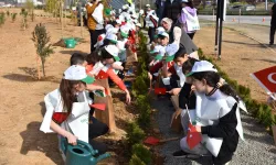 Trabzon Vakfıkebir'e Hatıra Ormanı Açıldı