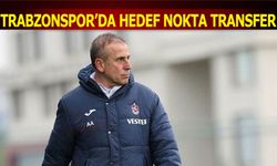 Trabzonspor'un Hedefi Nokta Transfer