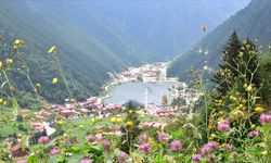 Trabzon’un Turist Sayısı Rize’yi İkiye Katladı