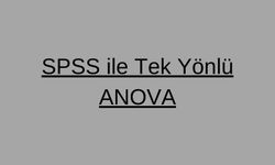 SPSS ile İstatistiksel Analizlerin Temel Yaklaşımları