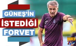 Şenol Güneş'in Transferini İstediği Forvet