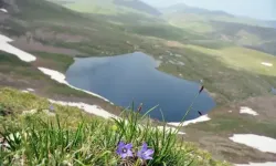 Trabzon’da Çakırgöl Projesi Hayata Geçiyor: Kış Turizmi İçin Büyük Potansiyel