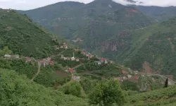 Yılların Tartışması Sona Erdi: Üçtaş Köyü Artık Giresun’a Bağlı