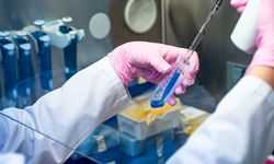 Estetik ve Teknolojinin Buluşma Noktası