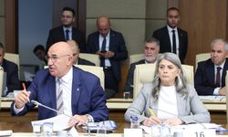 Suiçmez'den Zirai Don Tepkisi: “Karadenizli Üreticinin Zararı Resmi Kayıtlara Yansımıyor”