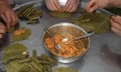 Fındık Yaprağında Şifa Umudu: Antikanser Etkisi Araştırılıyor