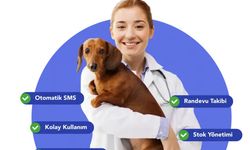 Veteriner Kliniklerinde Dijital Dönüşüm, Verimlilik ve Hasta Memnuniyeti