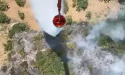 Aydın Germencik’te Orman Yangını: 3 Hektar Alan Zarar Gördü