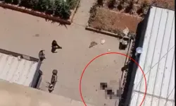 Mardin'de üniversite öğrencisi 11’inci kattan düşerek hayatını kaybetti