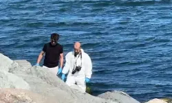 Avcılar Sahili’nde Kadın Cesedi Bulundu