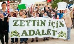 Karadeniz’de “Süper İzin” Yasasına Karşı Ortak Çevre Direnişi