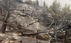 Sakarya-Bilecik Sınırında Günlerce Süren Orman Yangınları Kontrol Altına Alındı