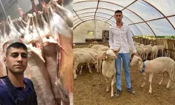 Nazilli’de Yüksek Kar Vaadiyle Hayvan Toplayan Şüpheli Didim’de Yakalandı