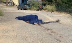 Eskişehir’de Otomobille Çarpışan Motosiklet Sürücüsü Hayatını Kaybetti