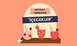Boykot Olmayan Gazlı İçecekler, Meyve Suları ve Kola Markaları