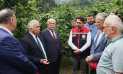 Trabzon Valisi Aziz Yıldırım’dan Fındık Üreticisine Sitem: “Fındık İkinci Plana Atılmamalı”