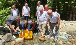 Küçükdere Vadisi’ne 10 Bin Kırmızı Benekli Alabalık Bırakıldı