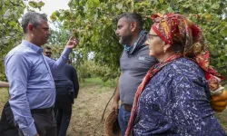 CHP Trabzon İl Başkanı Mustafa Bak: “Fındık Alım Fiyatı En Az 250 TL Olmalı”