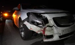 Trabzon Karayolunda Otomobilin Çarptığı Ayı Telef Oldu
