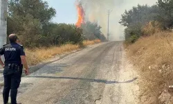 Bodrum Yakaköy’de Makilik Alanda Yangın: 3 Hektar Zarar Gördü