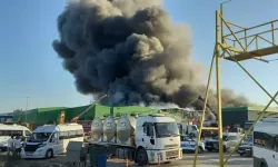Balıkesir’in Gönen İlçesinde Süt Ürünleri Fabrikasında Yangın: İki İşçi Hayatını Kaybetti