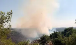 Adana’da Orman Yangını