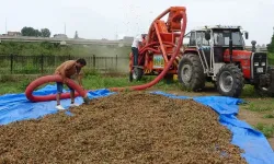 Yomra Belediyesi’nden İlçe Merkezinde Fındık Patozu Kurulmasına Yasak