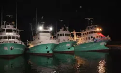 Balıkçılar ‘Vira Bismillah’ Dedi, Ağlar İstavritle Doldu