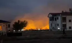 Elazığ’ın Kovancılar İlçesinde Çıkan Anız Yangını Yerleşim Yerlerini Tehdit Etti
