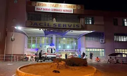 Aydın'da Baba Ve Kızını Vuran Şüpheli Yakalandı