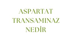 Aspartat Transaminaz Nedir - Turkinform.com.tr