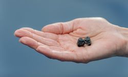 İşitme Cihazı Çeşitleri ve Kullanım Alanları