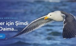 Çeviri Fiyatları ve Sözlü Çeviri