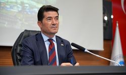 Trabzon’da Sahipsiz Hayvanlar İçin Birlik Kuruluyor