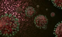 DSÖ: M Çiçeği Virüsü Klad 1b Varyantı Yayılıyor