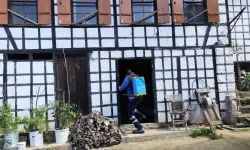 Trabzon’da Kahverengi Kokarca Alarmı! Mücadelede Seferberlik Başlatıldı