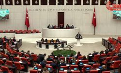 TBMM’de Beyin Göçü ve Eğitim Tartışması