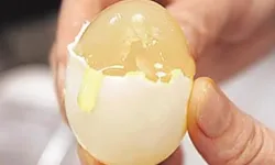 Uzmanlar Uyardı: Sahte Yumurta Üretimi Sağlığı Tehdit Ediyor