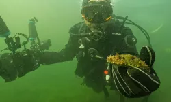 Belediye başkanı dalgıç kıyafeti giydi, dibe indi