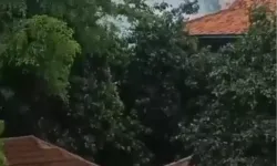 Cuma Namazı Sırasında Meydana Geldi 54 Yaralı