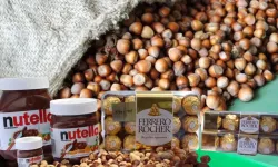 Rekabet Kurulu’ndan Ferrero Kararı Açıklandı