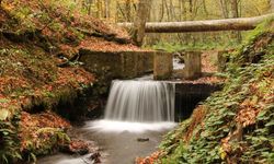Bolu Avdan’da Sonbahar Renkleri Büyüledi