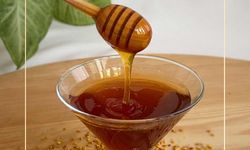 Silifke’de Keçiboynuzu Balı Hasadı Başladı