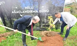 KTÜ’de 11 Kasım’da Fidanlar Toprakla Buluştu, Kampüs Yeşerdi